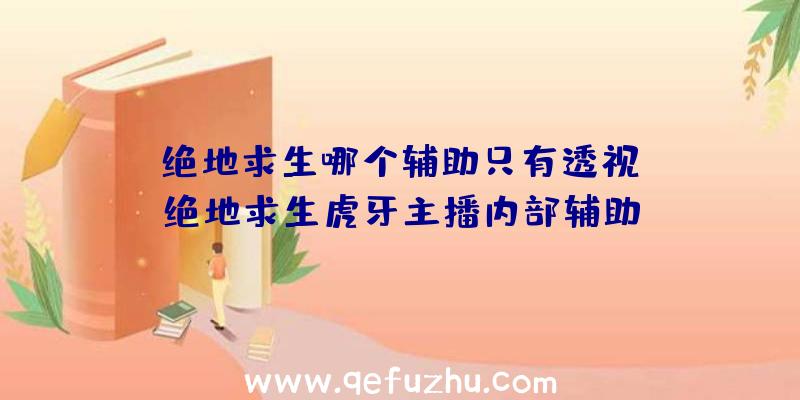 「绝地求生哪个辅助只有透视」|绝地求生虎牙主播内部辅助